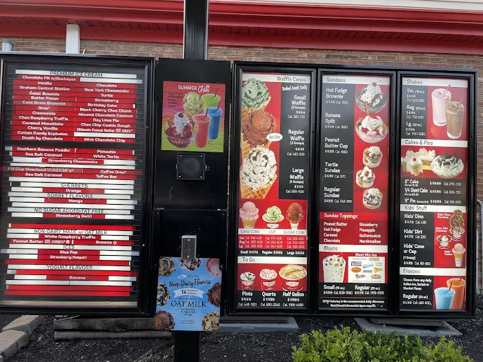 Bruster's Real Ice Cream Picture 8