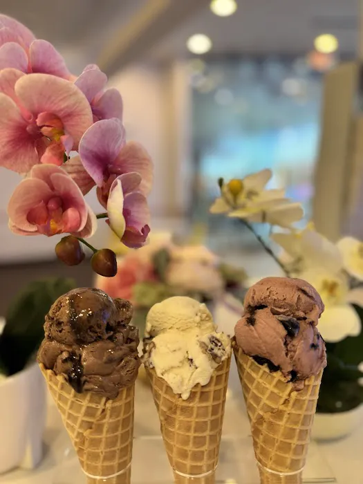 Milano Dolce Ice Cream Picture 4