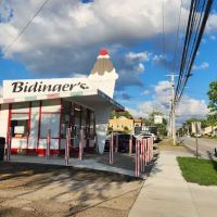 Bidinger's Ice Cream ico
