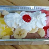 Pinecone Ice Cream Shop ico