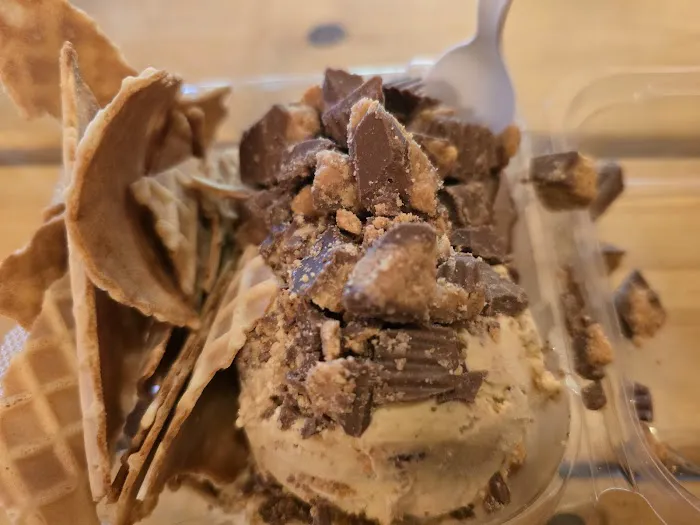 Pinecone Ice Cream Shop Picture 8