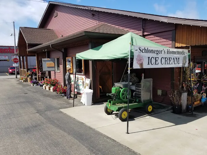 Schloneger's Old Fashioned Ice Cream LLC Picture 3