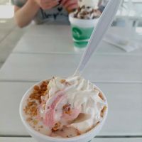 Earl's Dari Drive-In ico