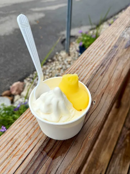 Kosmic Soft Serve Picture 9