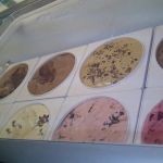 Laker Shakes Burdickville Market