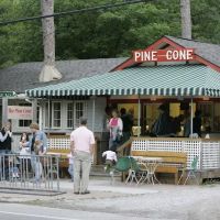 The Pine Cone ico