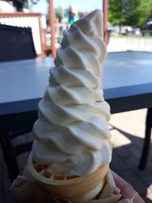 The Pine Cone Picture 4