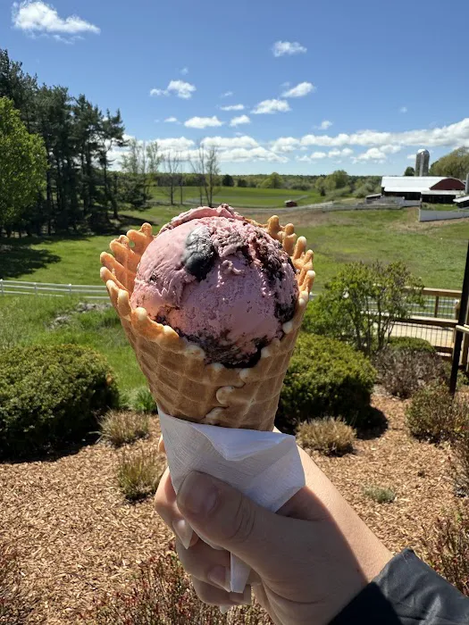 Moomers Homemade Ice Cream Picture 4