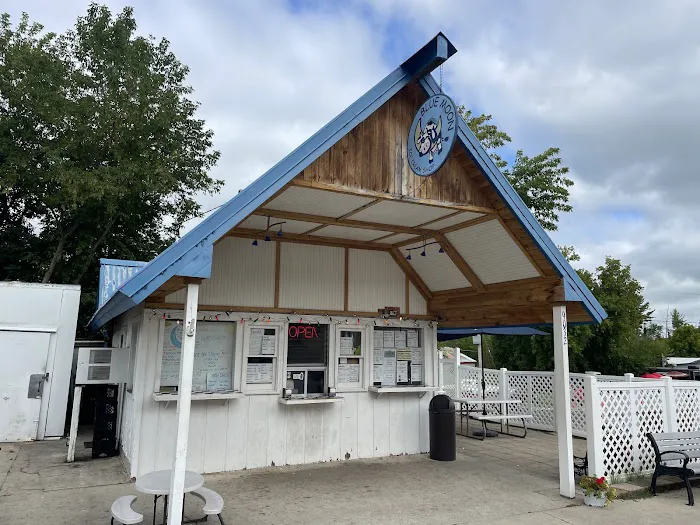 Blue Moon Ice Cream Shop Picture 3