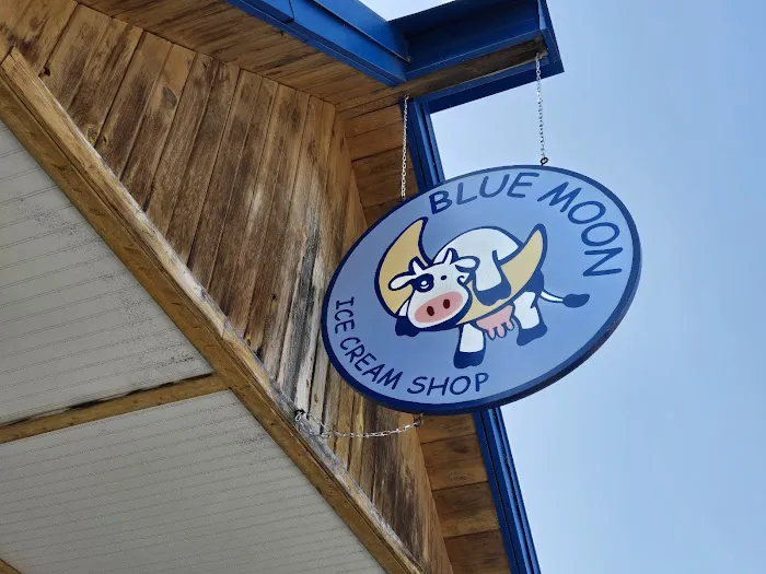 Blue Moon Ice Cream Shop Picture 6