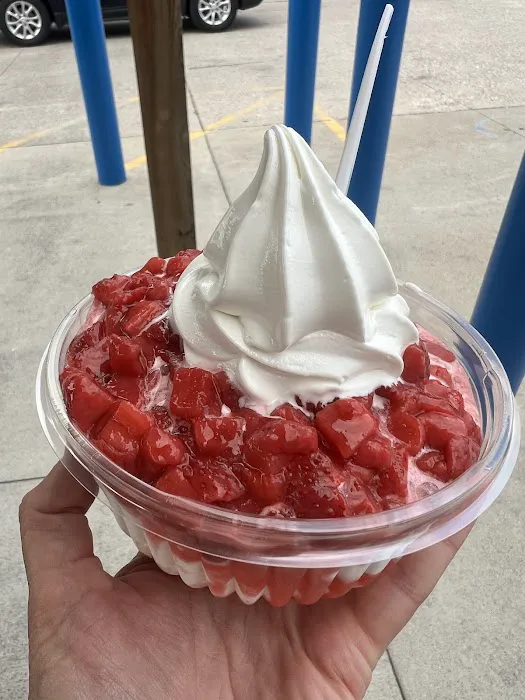 The Yogurt Station Picture 1