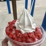 The Yogurt Station