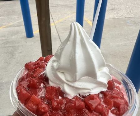 The Yogurt Station