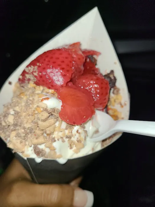 The Yogurt Station Picture 6