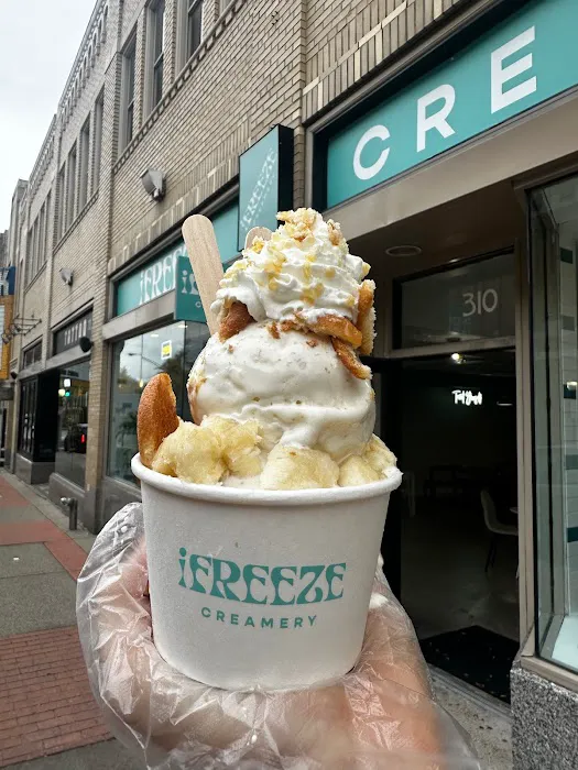 iFreeze Creamery Picture 2