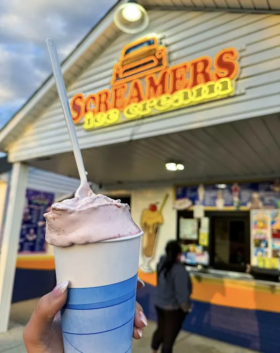 Screamers Ice Cream Picture 7