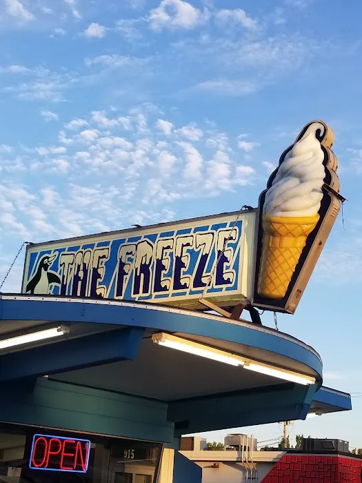 The Freeze Picture 5