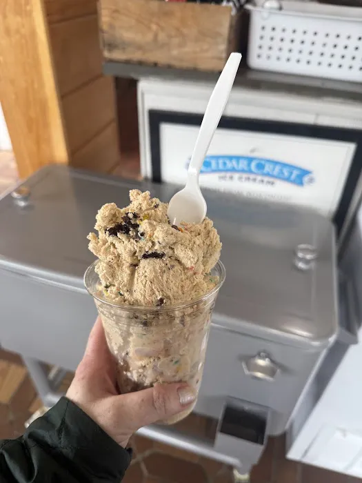 Britt's Candy & Ice Cream Shop Picture 1