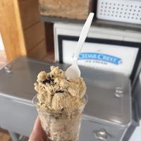 Britt's Candy & Ice Cream Shop ico