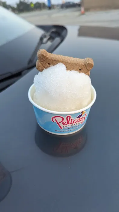Pelican's SnoBalls Picture 4