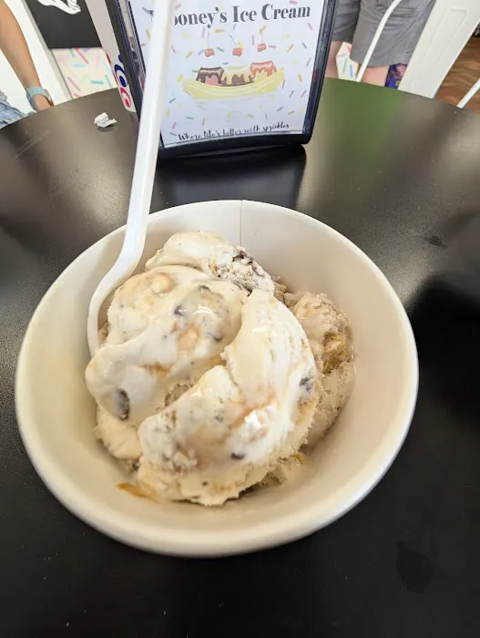 Mooney's Ice Cream Parlor Picture 1