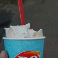 Dairy Queen Store ico