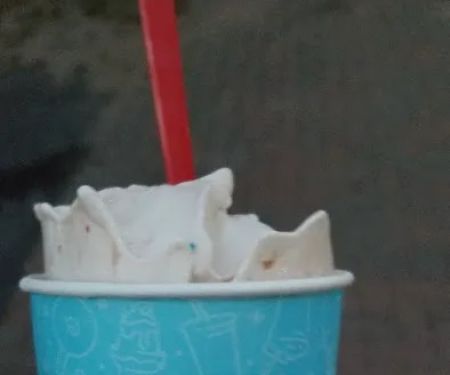 Dairy Queen Store