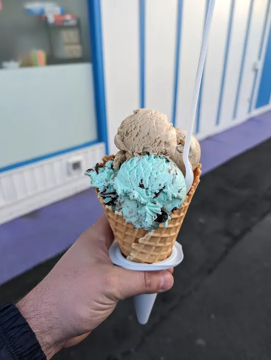 Custard Spot Picture 4