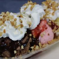 Hershey's Ice Cream ico