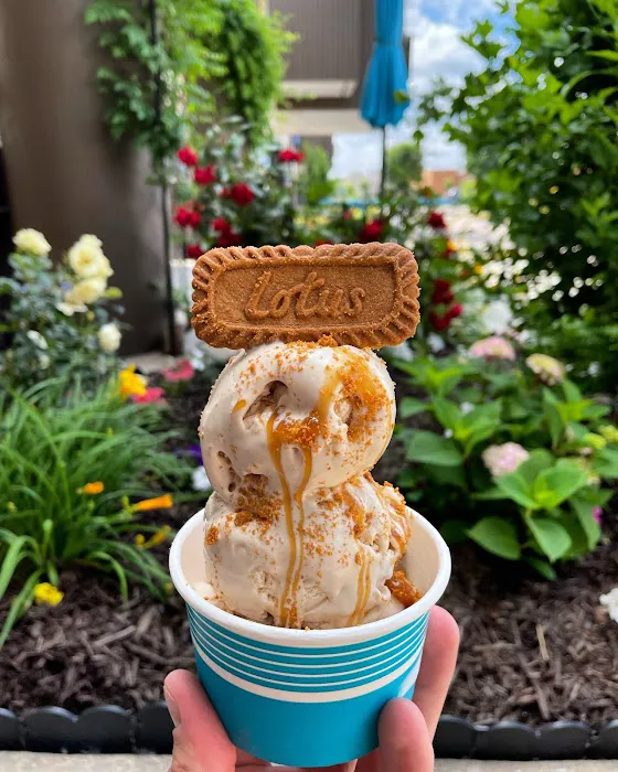 Freskia Ice Cream Picture 2