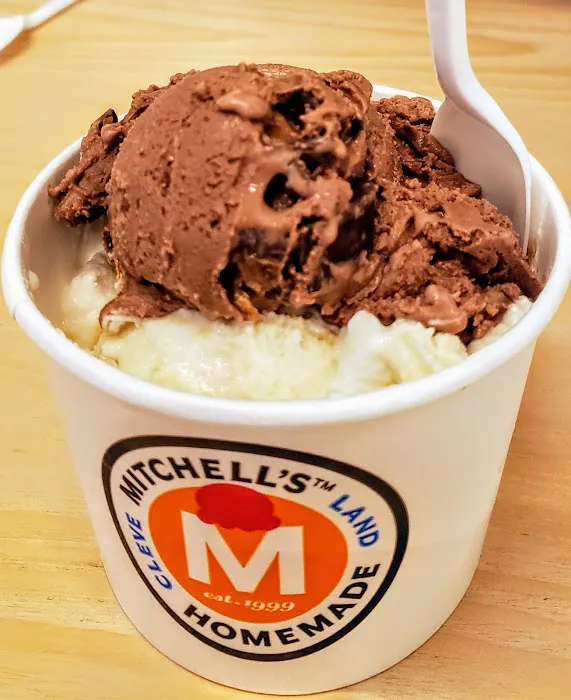 Mitchell's Ice Cream (Westlake Shop) Picture 3