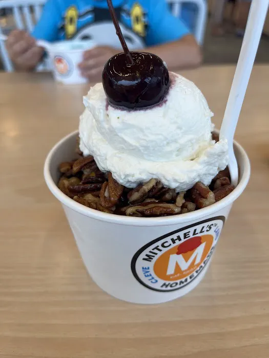 Mitchell's Ice Cream (Westlake Shop) Picture 6