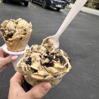 Weber’s Premium Custard & Ice Cream ico