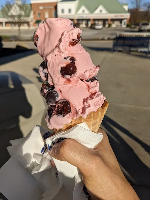 Handel's Ice Cream Broadview Heights Picture 7