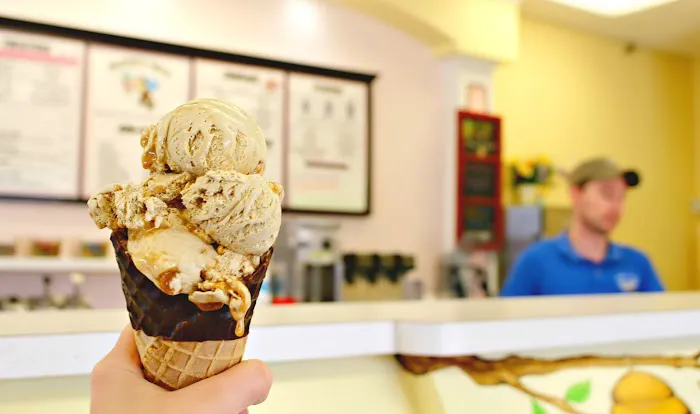 Honey Hut Ice Cream Picture 1