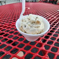 Welch's Dairy Cream ico