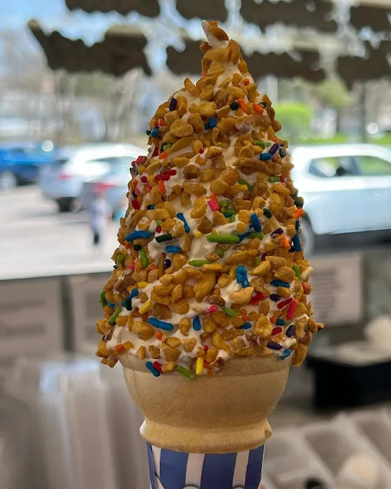 Skoops Ice Cream Picture 2