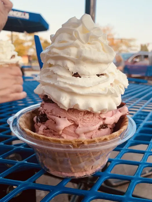 Handel's Homemade Ice Cream Picture 2