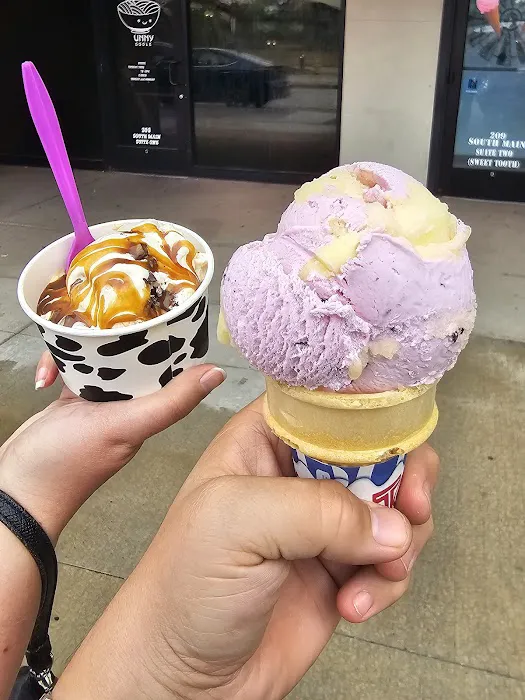 Chill Artisan Ice Cream Picture 2