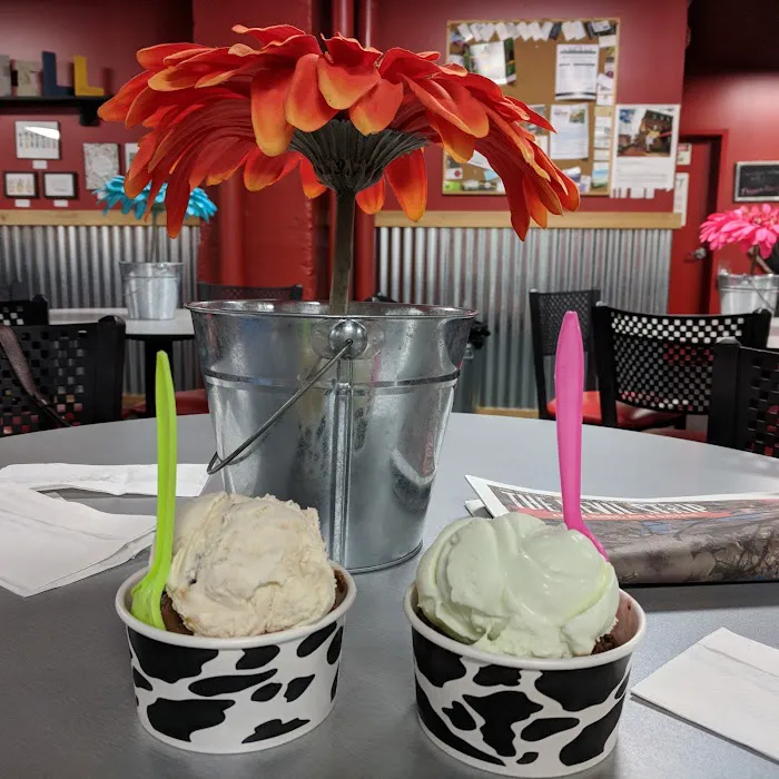 Chill Artisan Ice Cream Picture 3
