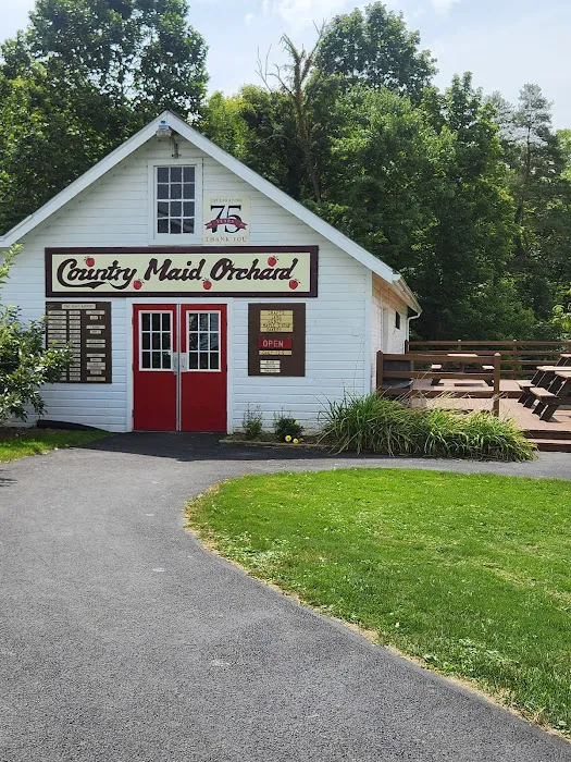 Country Maid Ice Cream Picture 4