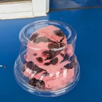 Handel's Homemade Ice Cream ico