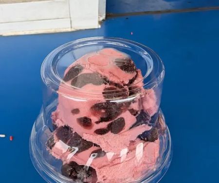 Handel's Homemade Ice Cream