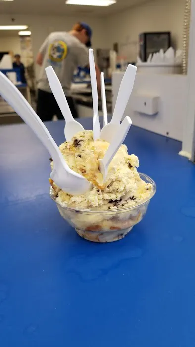 Handel's Homemade Ice Cream Picture 8