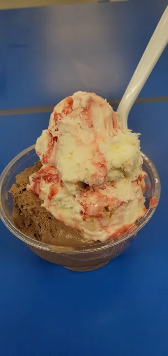 Handel's Homemade Ice Cream Picture 9