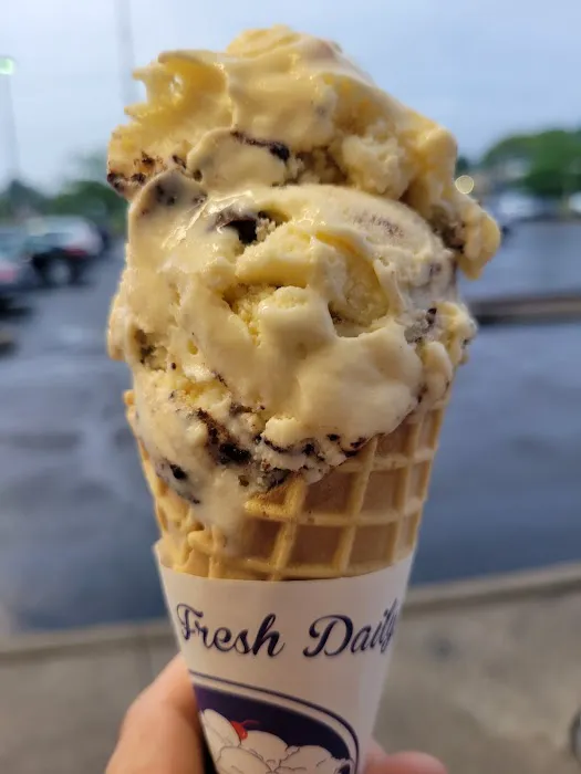 Handel's Homemade Ice Cream Picture 5
