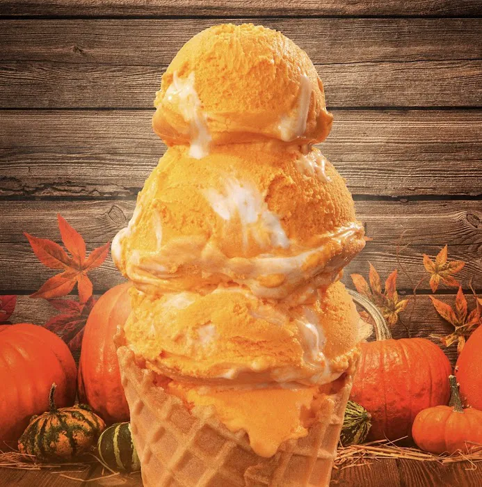 Handel's Ice Cream Canton Ohio Picture 4