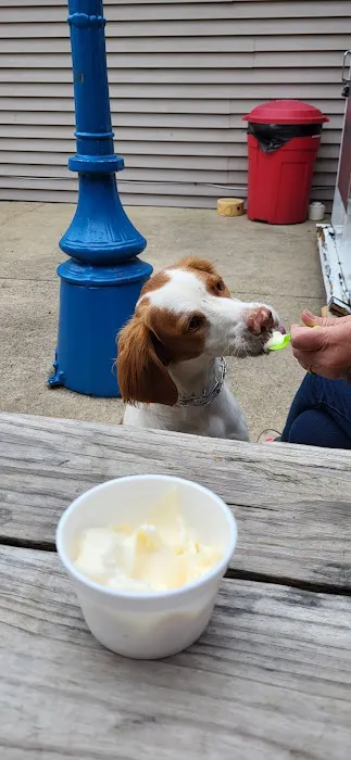 Sundae Shoppe Picture 5
