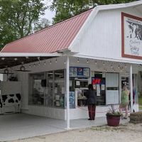 Sidney Dairy Barn ico