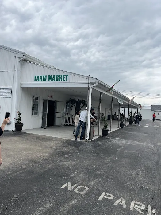 Ice Cream Factory and Cheese Shop Picture 9